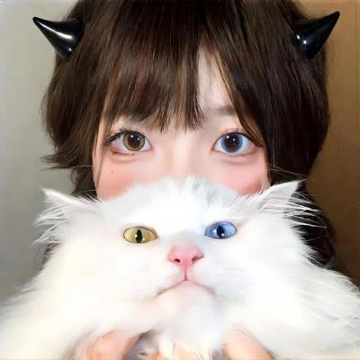 布里斯比熊
